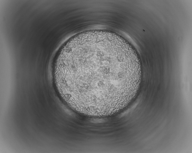 X0000111470835200908101113