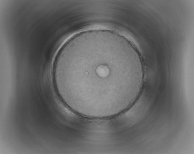 X0000111470836200908101113