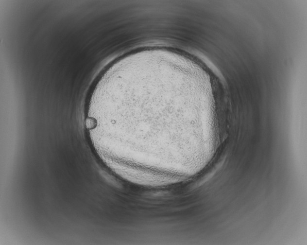 X0000111470837200908101113