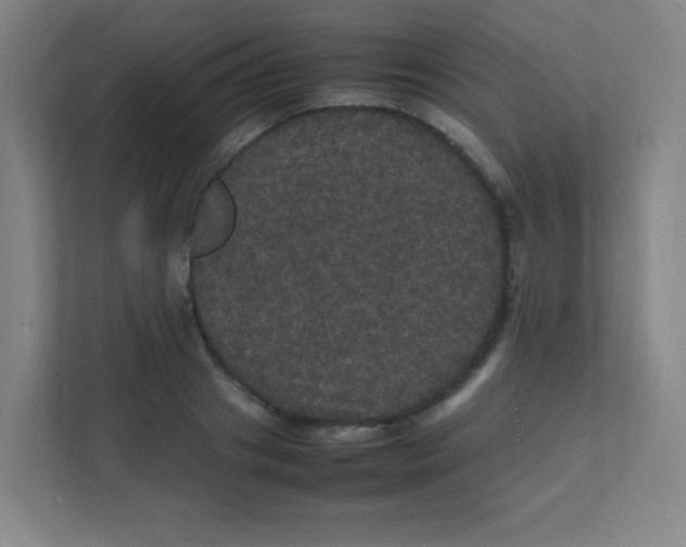 X0000111470841200908101113