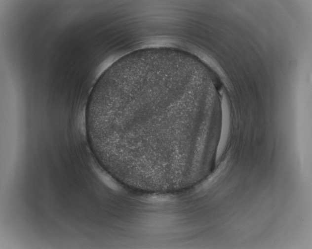 X0000111470842200908101113