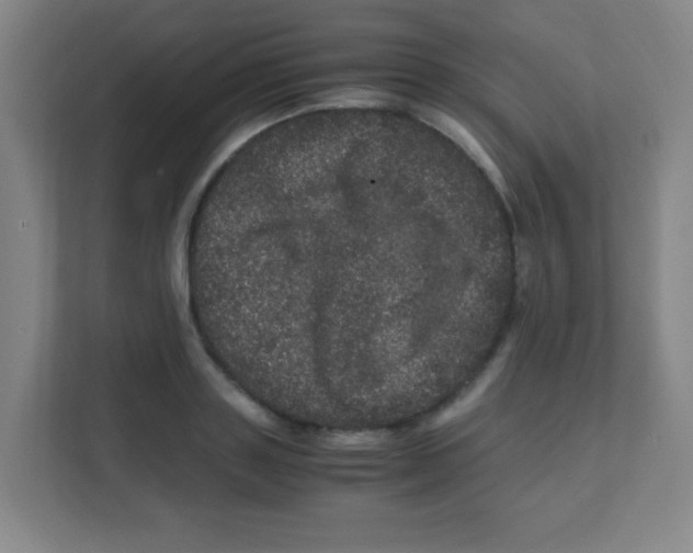 X0000111470843200908101113