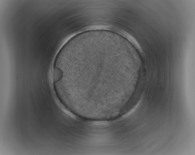 X0000111470844200908101113