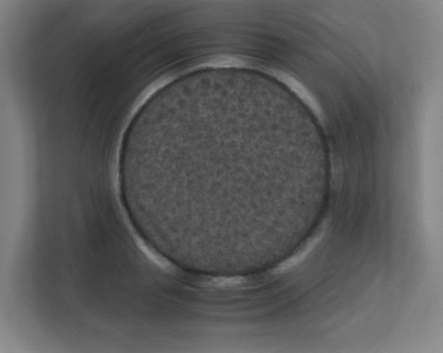 X0000111470845200908101113