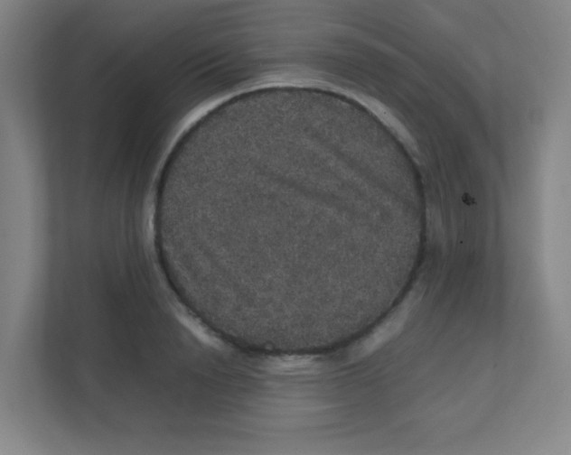 X0000111470846200908101113