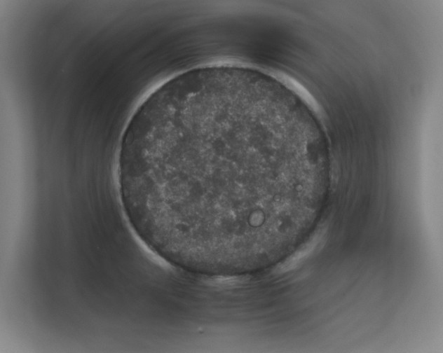 X0000111470847200908101113