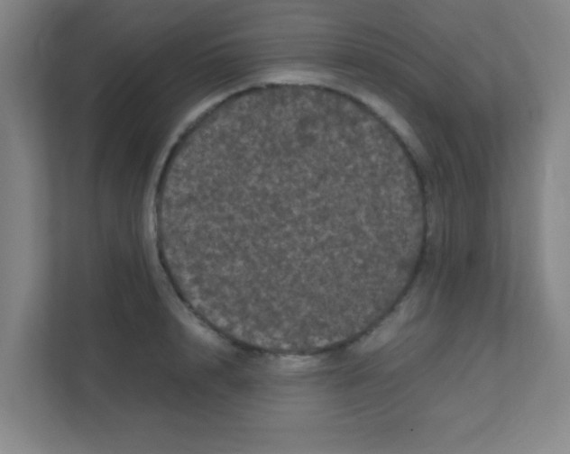 X0000111470848200908101113