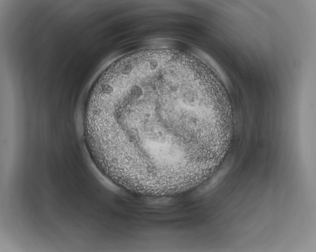 X0000111470851200908101113