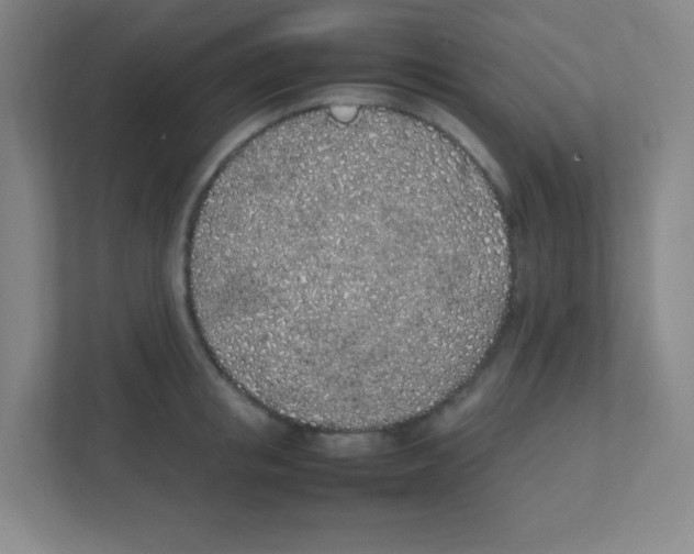 X0000111470853200908101113