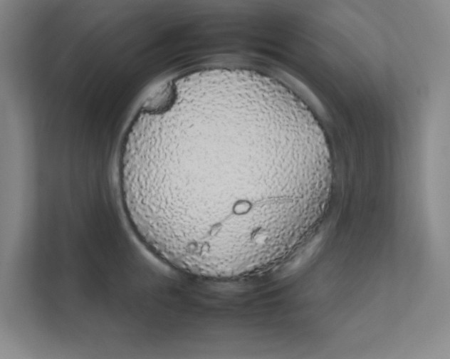 X0000111470855200908101113