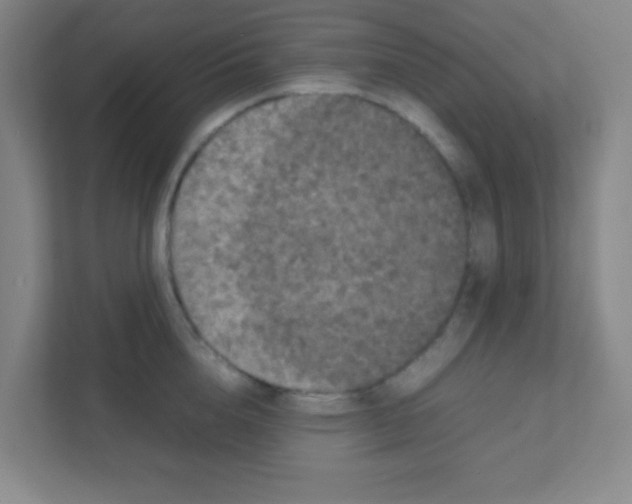 X0000111470856200908101113