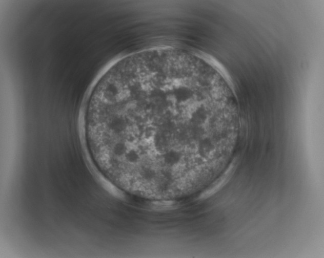 X0000111470859200908101113