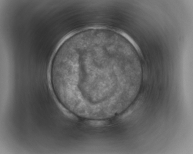 X0000111470861200908101113