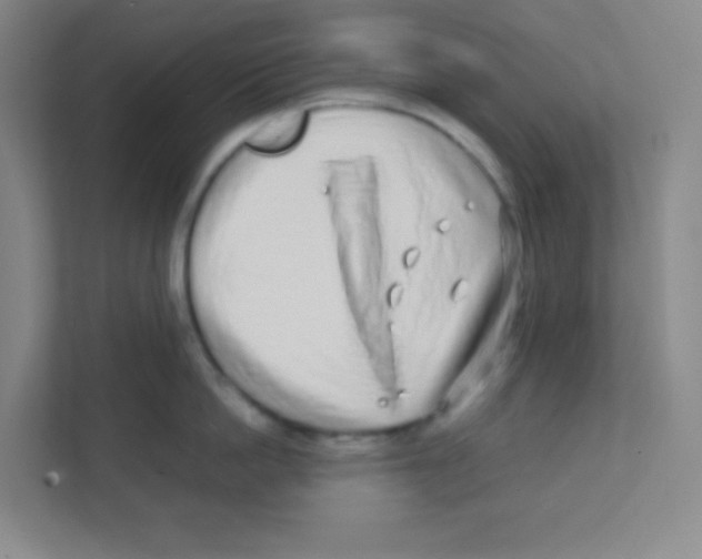 X0000111470862200908101113