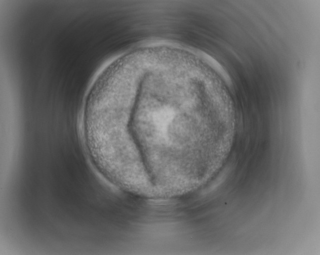 X0000111470863200908101113