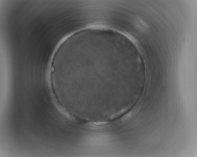 X0000111470864200908101113