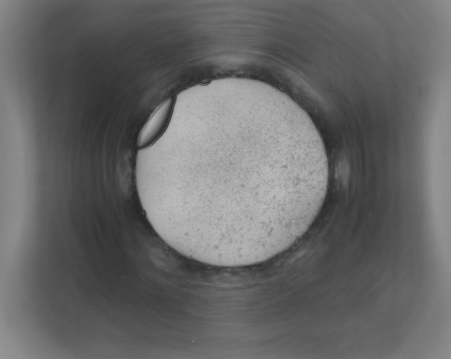 X0000111470868200908101113