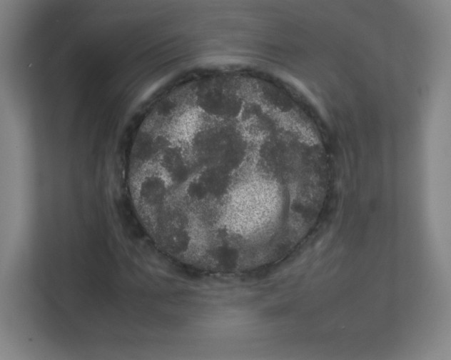 X0000111470871200908101112