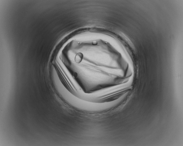 X0000111470876200908101112