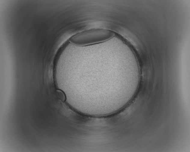 X0000111470877200908101112