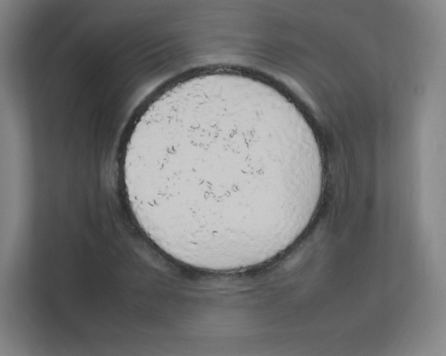 X0000111470879200908101112