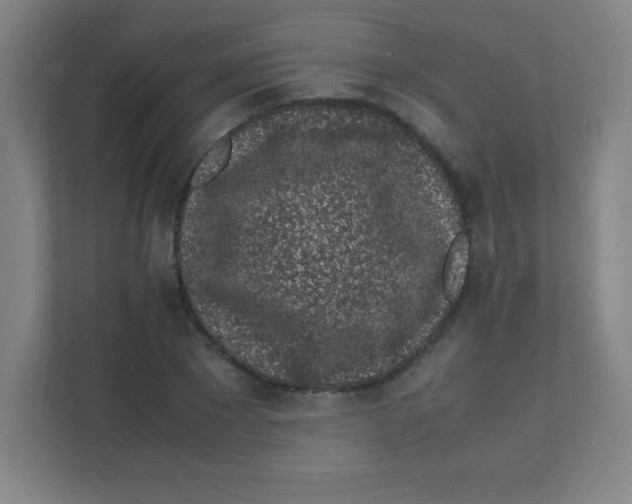 X0000111470881200908101112