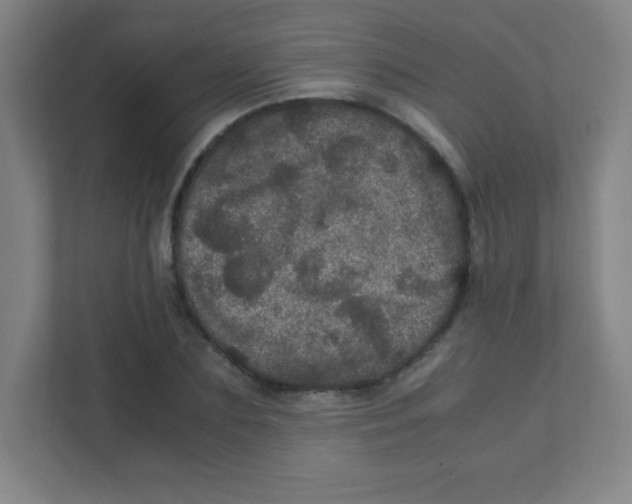 X0000111470883200908101112