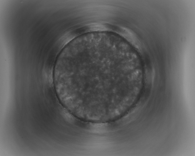 X0000111470889200908101112