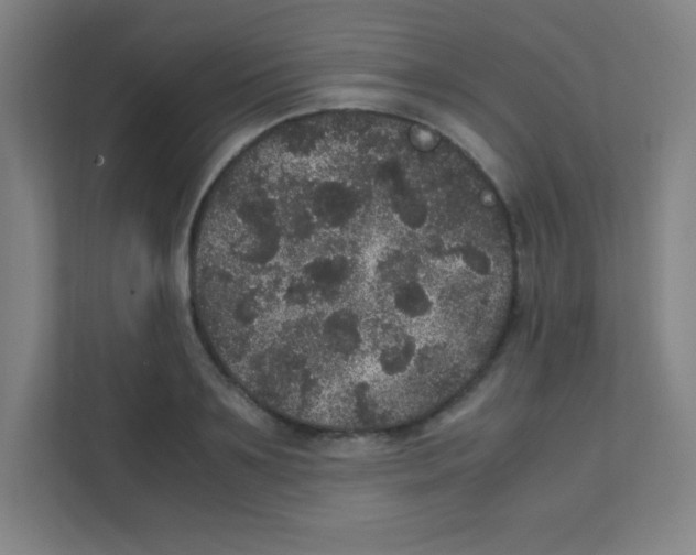 X0000111470891200908101112