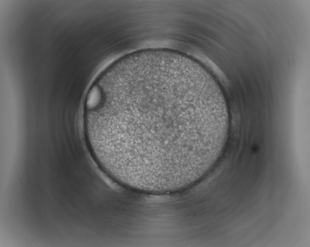 X0000111470894200908101112