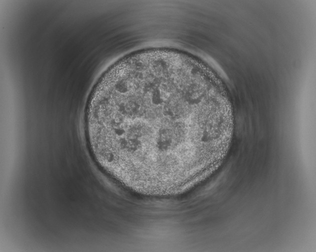 X0000111470895200908101112