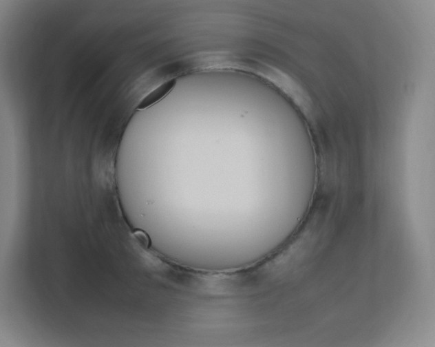 X0000111470897200908101112