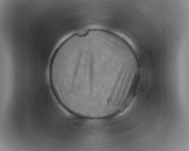 X0000111470902200908101112