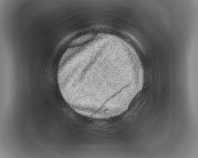 X0000111470919200908101111