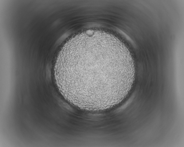 X0000111470921200908101111