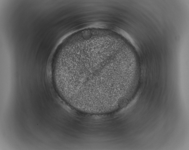 X0000111470923200908101111