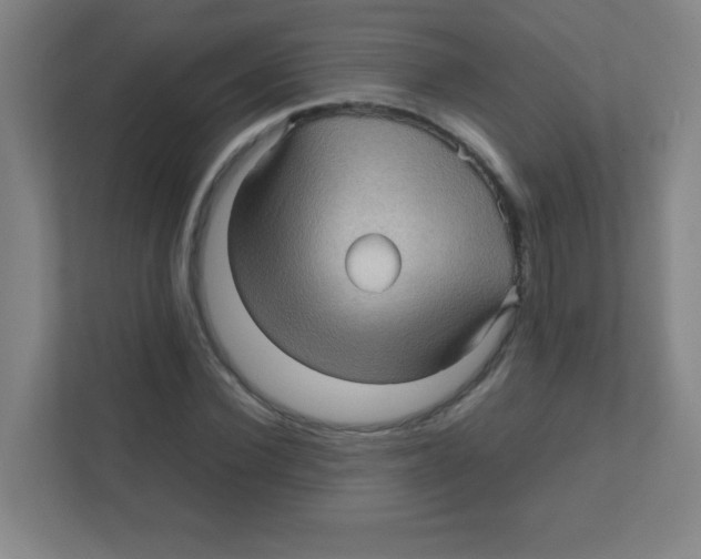 X0000111470924200908101111