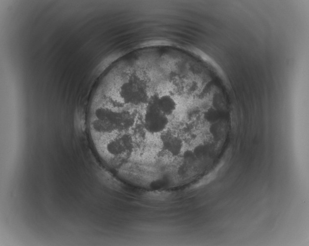 X0000111470929200908101112