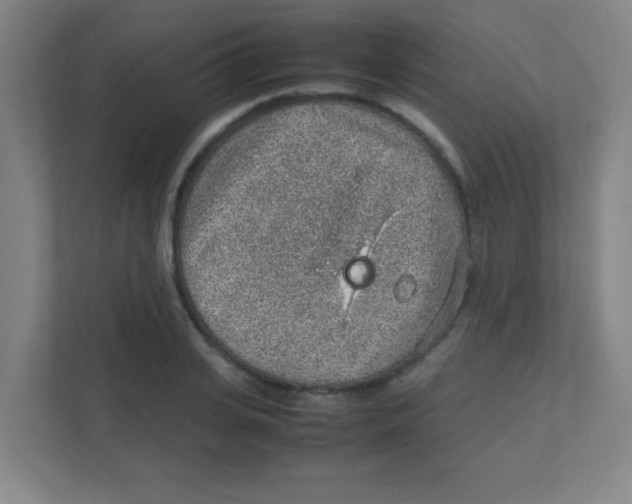 X0000111470935200908101112