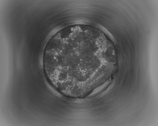 X0000111470938200908101112