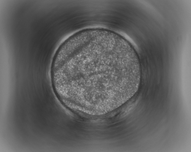 X0000111470943200908101112