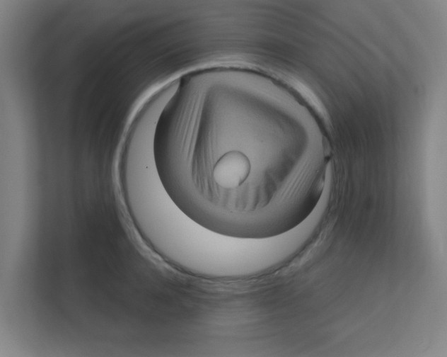 X0000111470944200908101112