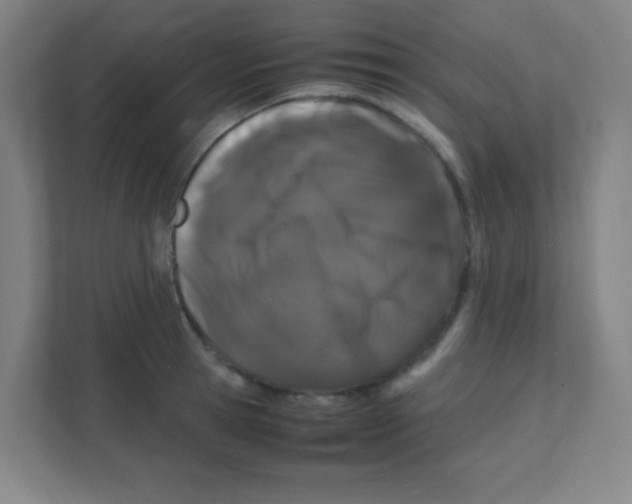 X0000111470945200908101112