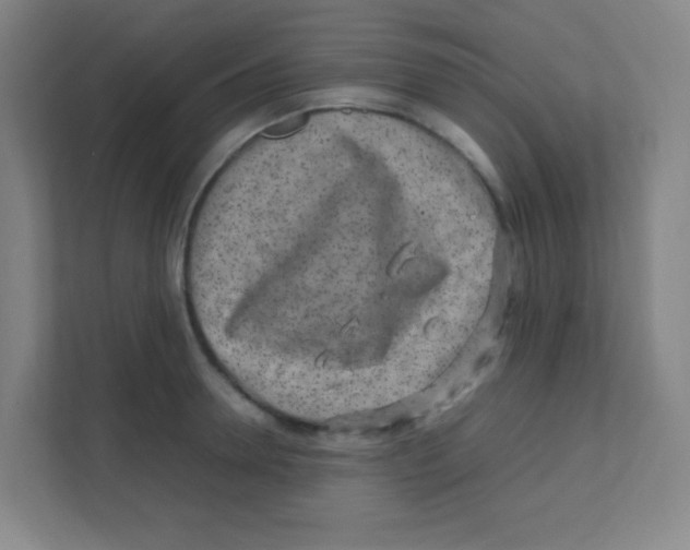 X0000111470946200908101112