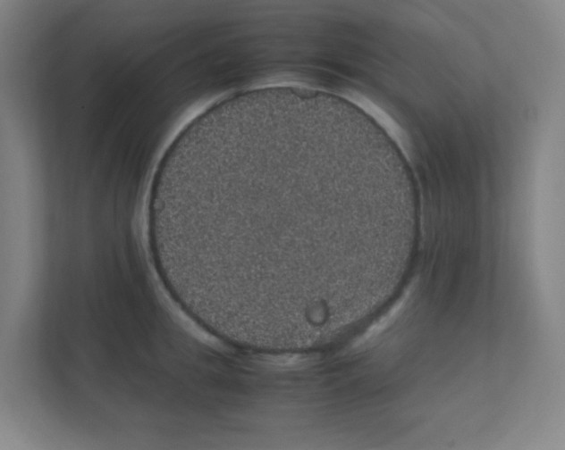 X0000111470949200908101112