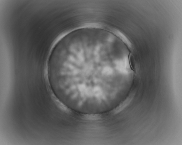 X0000111470952200908101112