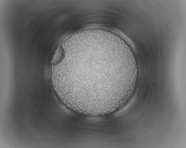 X0000111470953200908101112