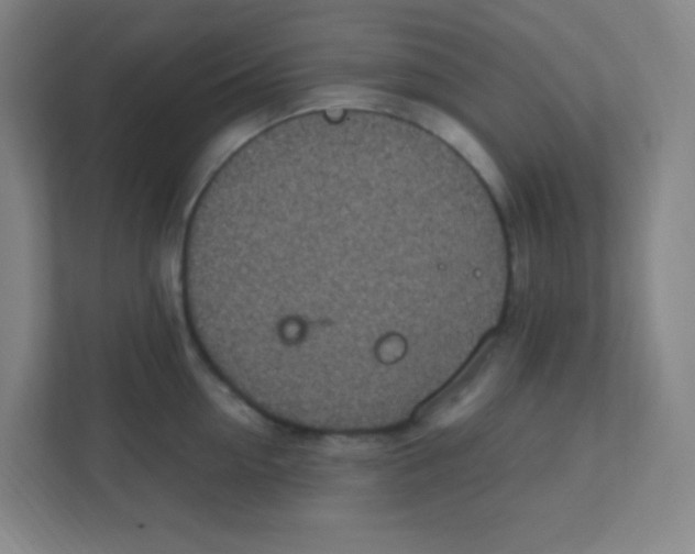 X0000111470954200908101112