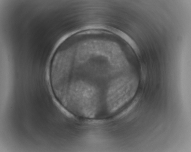 X0000111470958200908101112