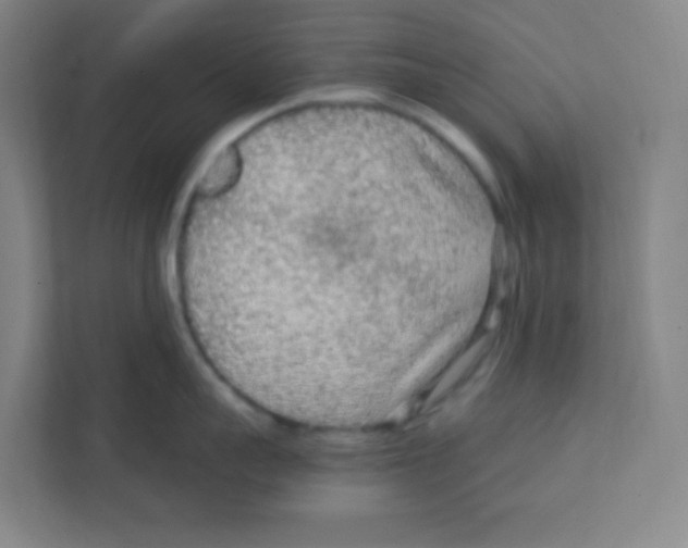 X0000111470959200908101112